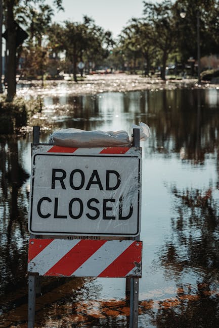 A flood scene showing a waterlogged street in a residential area surrounded by lush green trees and vegetation. On the right side, there is a blue building with several air conditioning units mounted