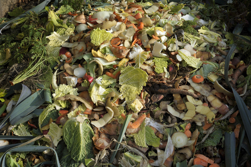 waste removal waste disposal